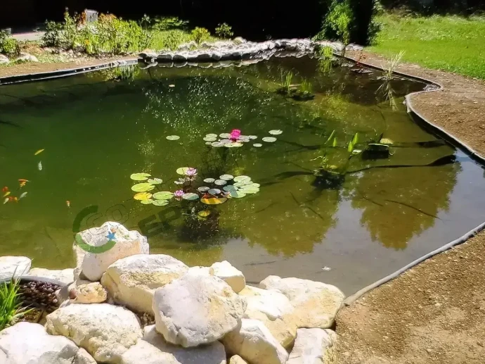 Bassin de jardin étanché avec une membrane EPDM, plantes aquatiques et bordure en pierres